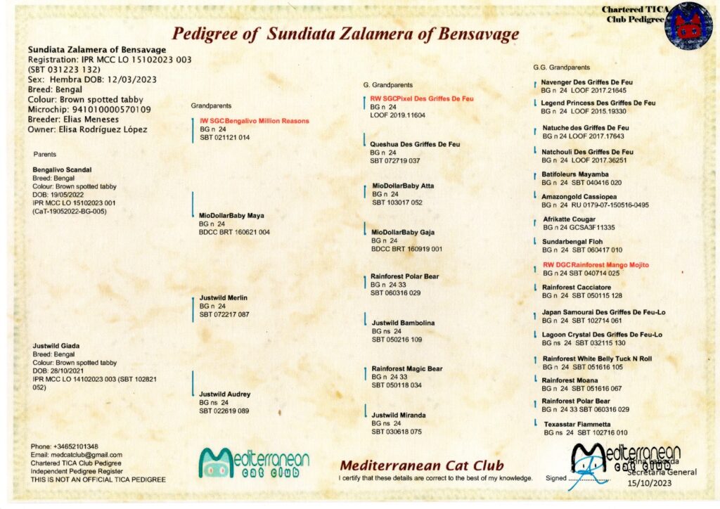 Sundiata Zamalera of Bensavage