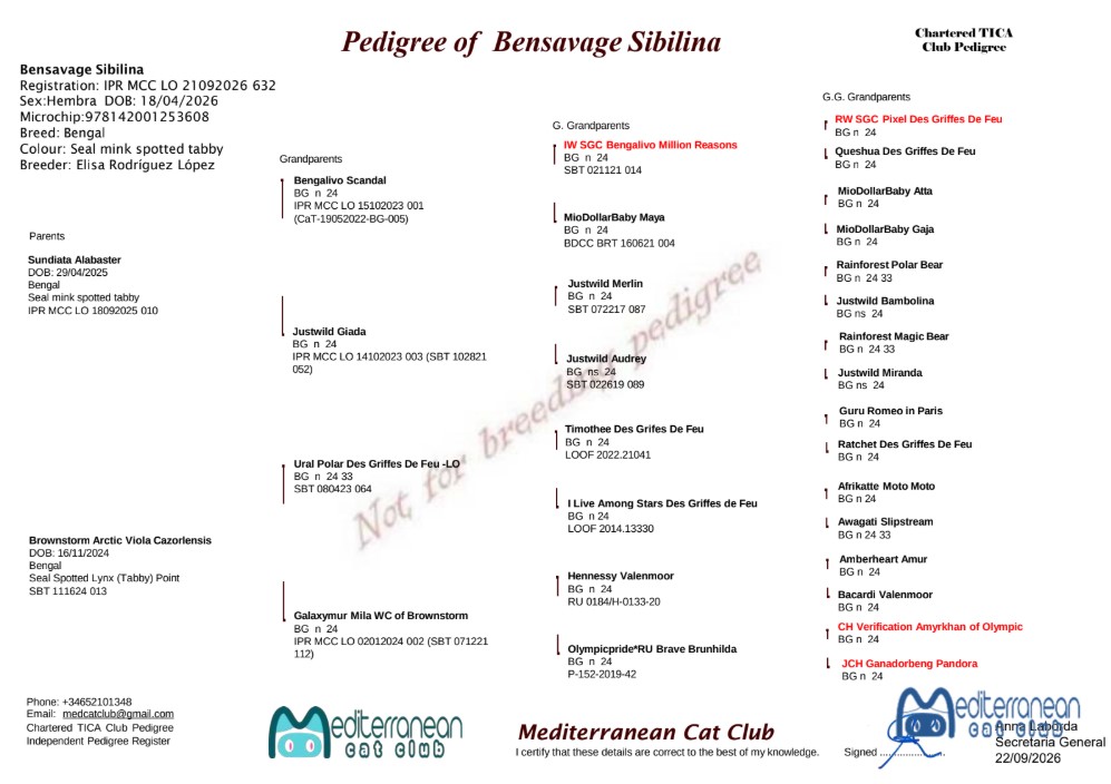 Bensavage Sibilina