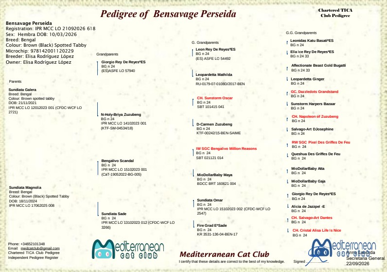 Bensavage Perseida